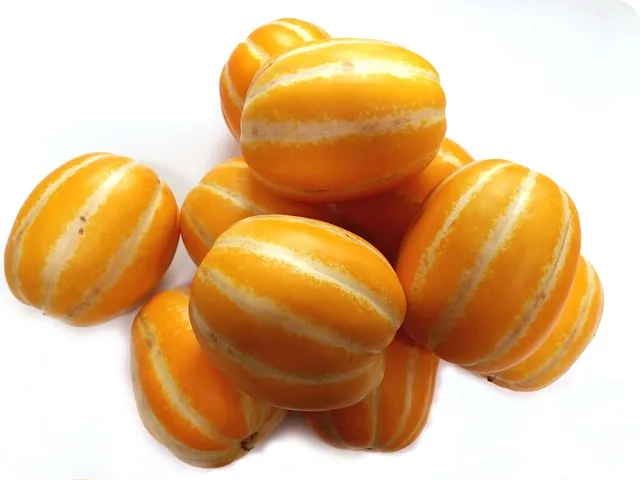 위고비 복용법과 부작용 체크하기