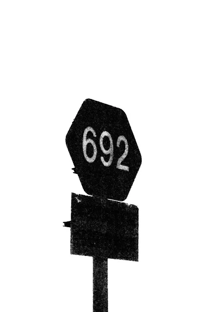 폴스타의 혁신과 미래전기차 시장 비전은?