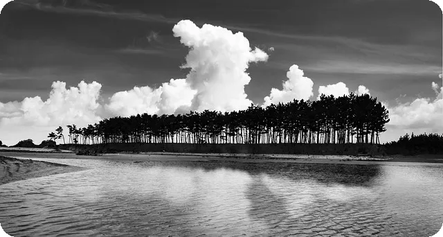 piggy 영화 심리 스릴러의 매력은?