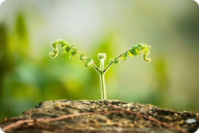 piggy 영화 심리 스릴러의 매력은?