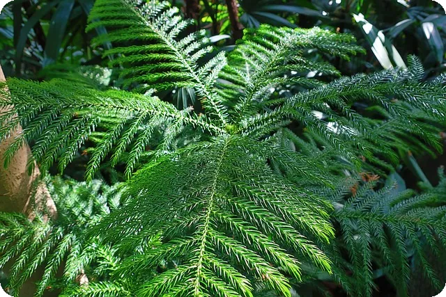 나혼산 키 새집 가격 위치 공개