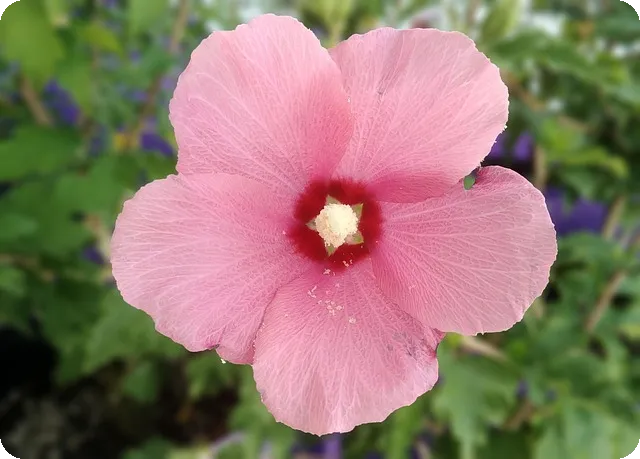 당뇨에 좋은 음식과 나쁜 음식은 무엇인가요