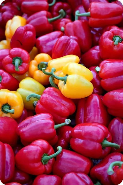 러시안잭 쇼비뇽블랑 와인은 어떤 매력이 있을까