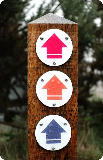 엉망 특공대 티어 정리와 쿠폰 활용법은?