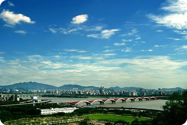 영천 벚꽃 2025 꼭 가봐야 할 명소는?