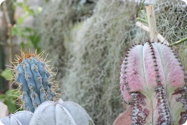 이불버리기 방법 알아보기