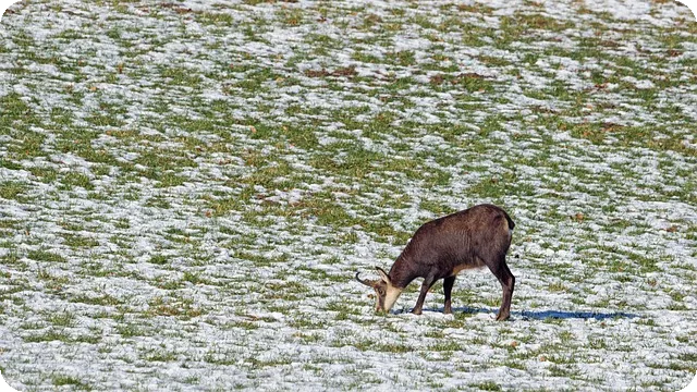 티빙 요금제 2025년 변화와 할인은 무엇일까
