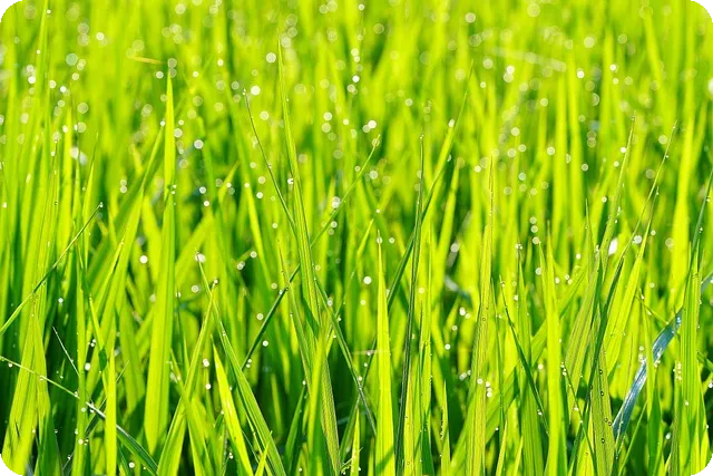 강남 투신녀 무사 구조 사건, 뒤에 숨은 이야기