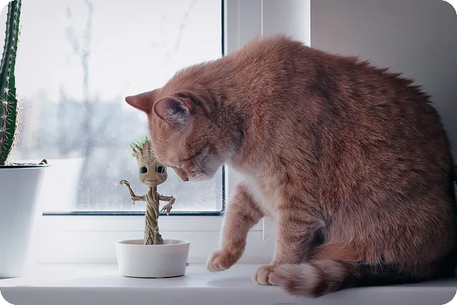 음천 맛집 제천의 할머니 손두부밥상