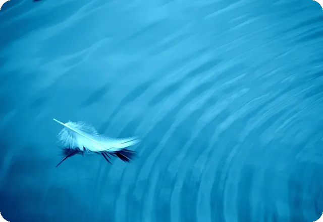 카카오닙스 가격은 얼마일까 효능과 먹는법까지