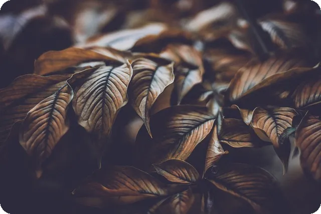 판타지보이즈 논란 강민서의 SOS 신호 진실은?